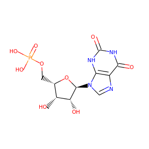 xanthosine 5'-monophosphate